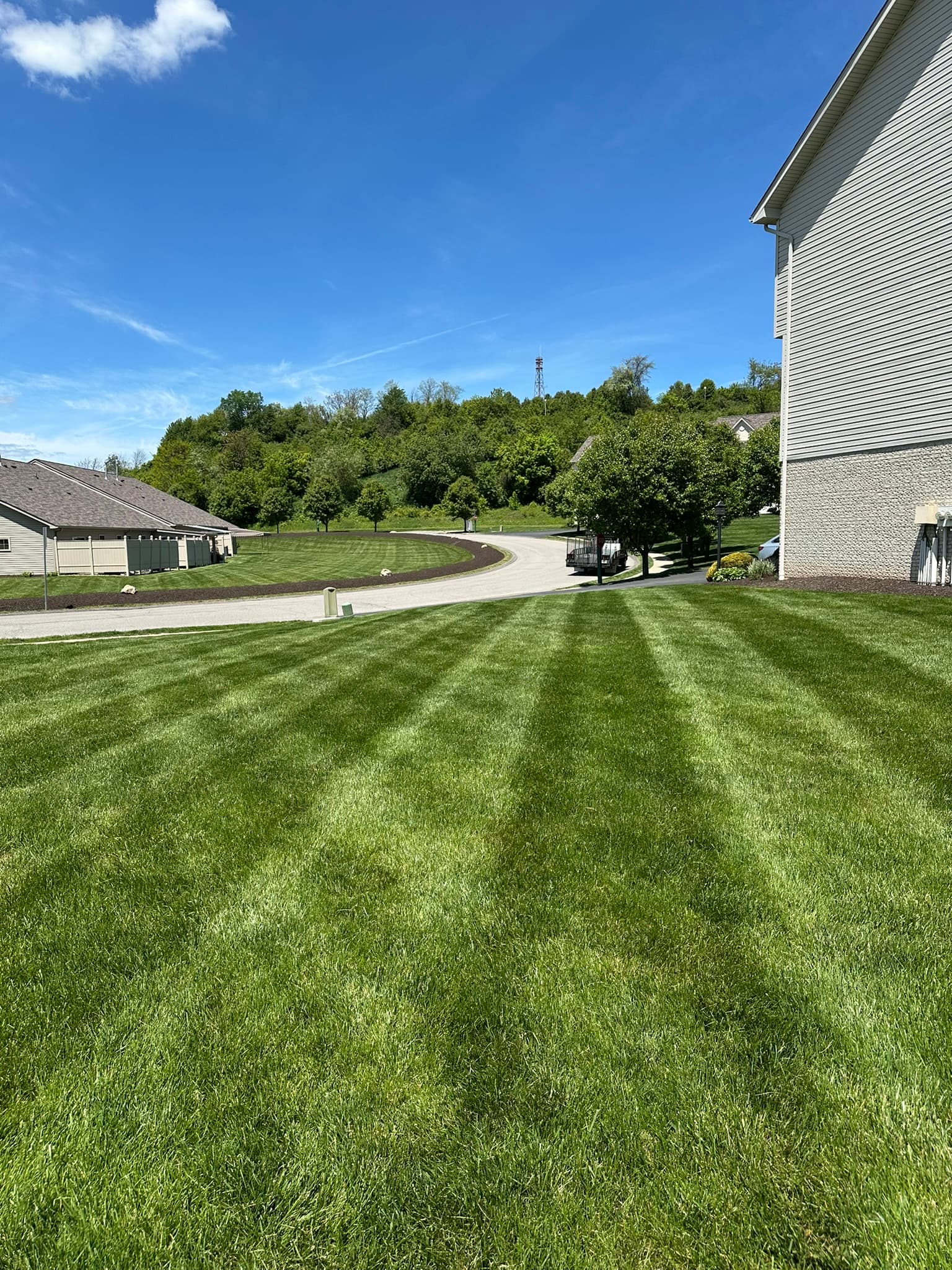 Consistent mowing pattern and trimmed lawn perimeter