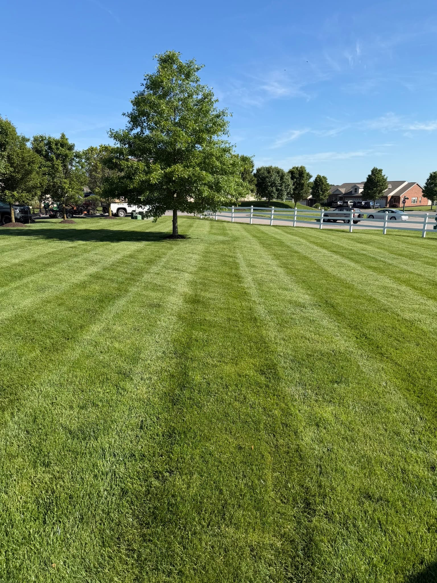 Finished lawn care pass with polished property presentation